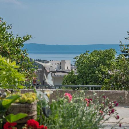 Apartment Strawberry Makarska Dış mekan fotoğraf