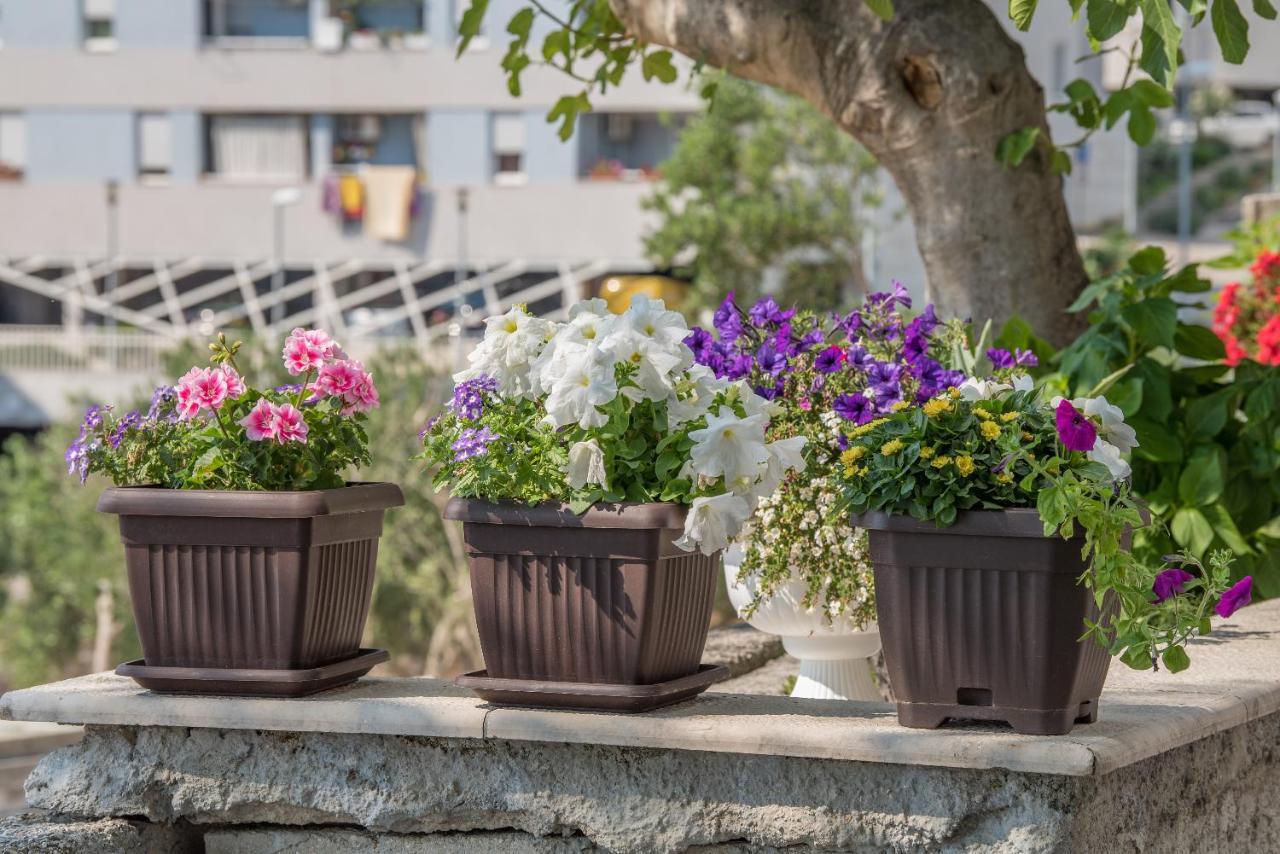 Apartment Strawberry Makarska Dış mekan fotoğraf